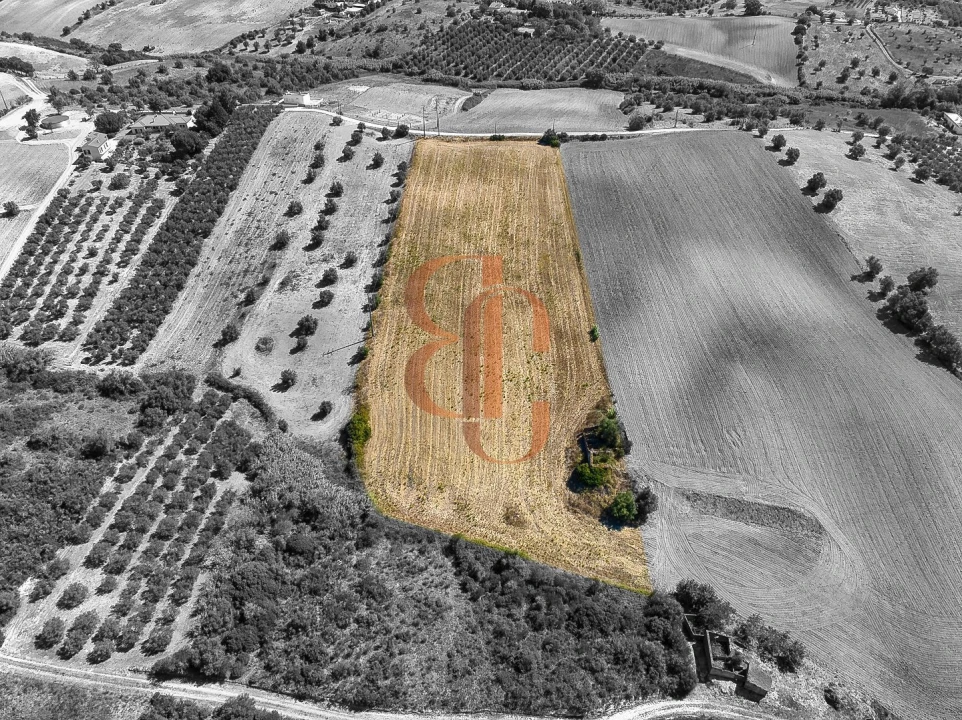 Terreno para Venda em Moçarria Foto 1