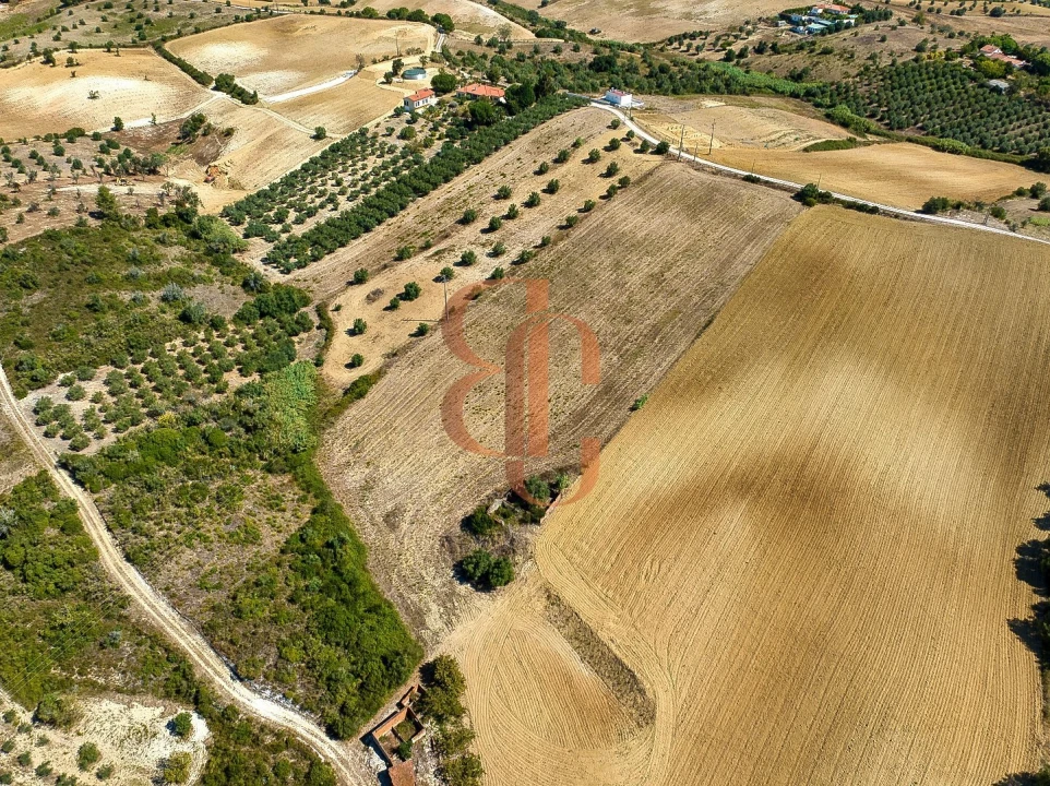 Terreno para Venda em Moçarria Foto 4