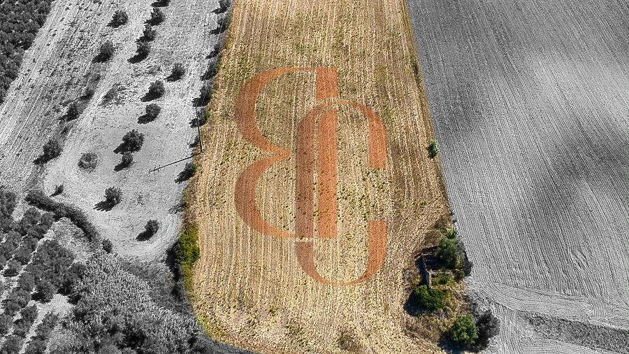 Terreno para Venda em Moçarria