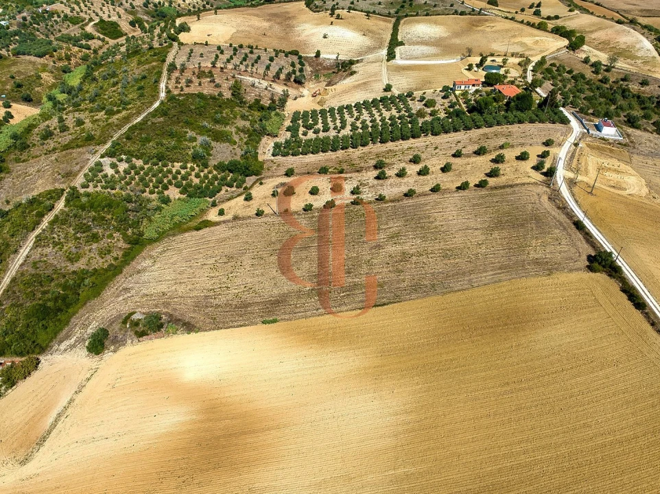 Terreno para Venda em Moçarria Foto 6