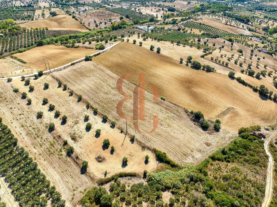 Terreno para Venda em Moçarria Foto 14