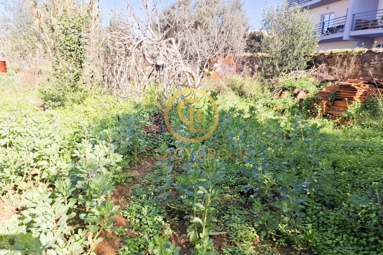 Terreno para Venda em Algoz e Tunes Foto 14