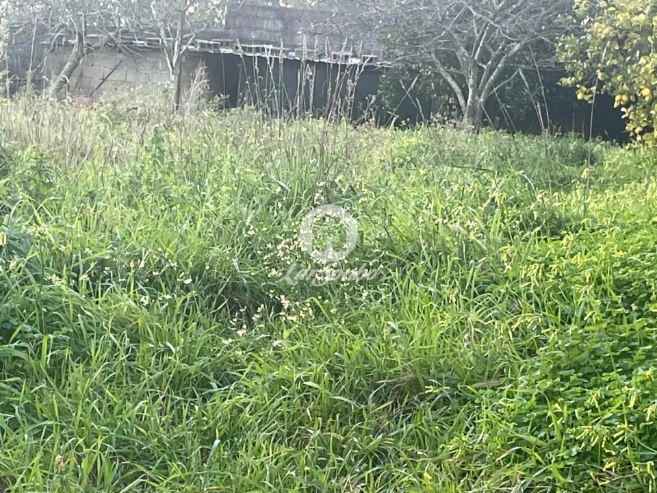 Terreno para Venda em Covelas Foto 5