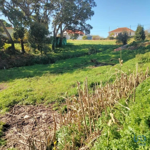 Terreno para Venda em Nadadouro Foto 3