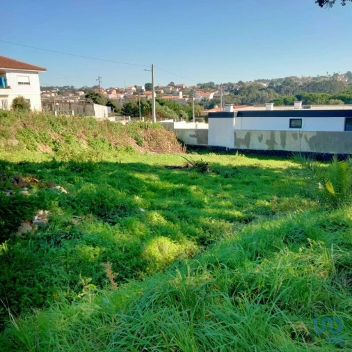 Terreno para Venda em Nadadouro Foto 2