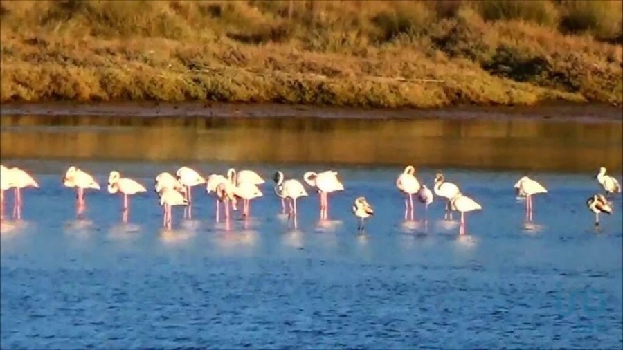 Terreno para Venda em Nadadouro Foto 7