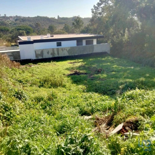 Terreno para Venda em Nadadouro Foto 4