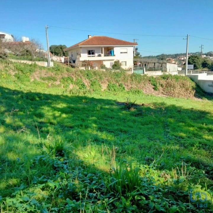 Terreno para Venda em Nadadouro Foto 1