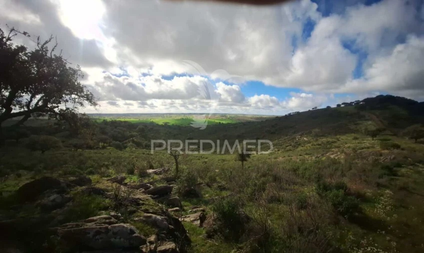 Terreno para Venda em Santiago Maior