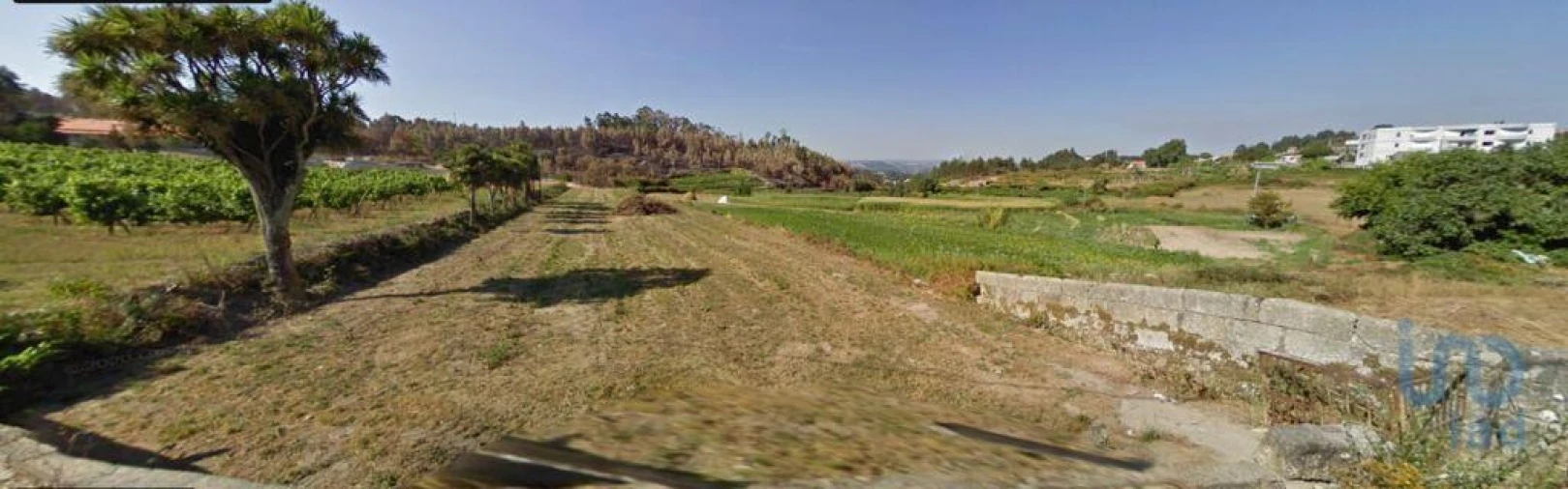 Terreno para Venda em Recezinhos (São Mamede) Foto 9