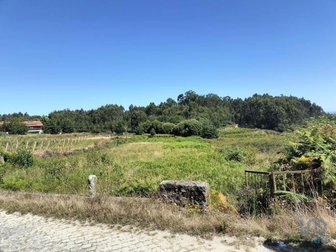 Terreno para Venda em Recezinhos (São Mamede) Foto 7