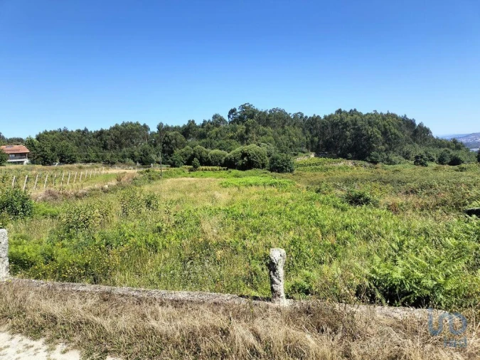 Terreno para Venda em Recezinhos (São Mamede) Foto 6