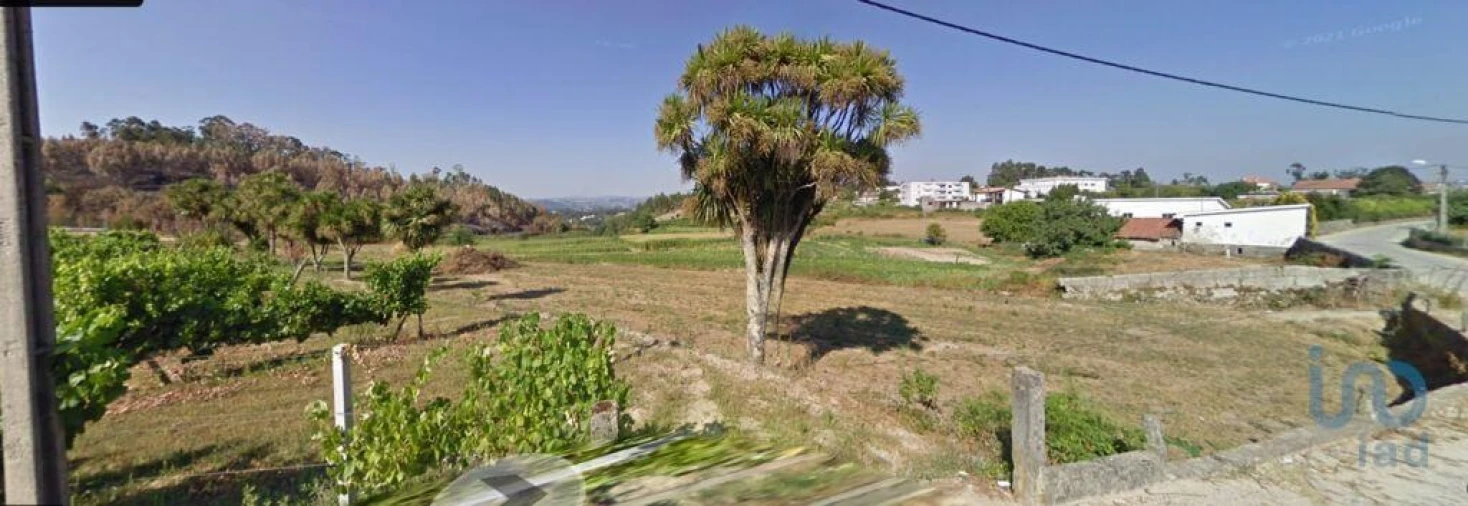 Terreno para Venda em Recezinhos (São Mamede) Foto 8