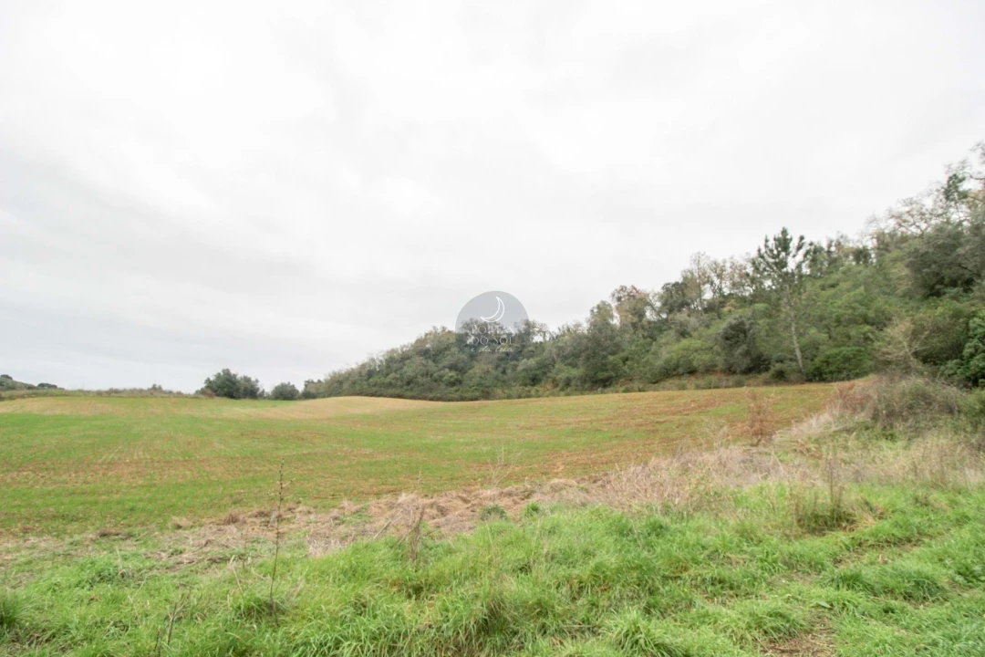 Terreno Agricola ou Rústico para Venda em Achete, Azoia de Baixo e Póvoa de Santarém Foto 6