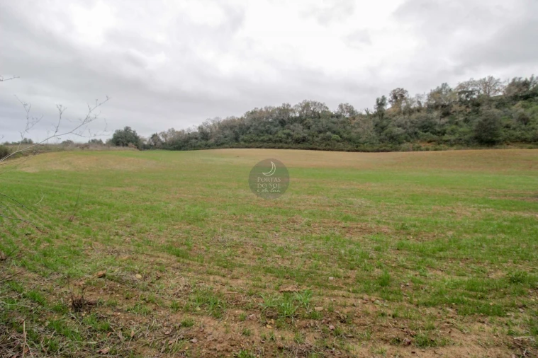 Terreno Agricola ou Rústico para Venda em Achete, Azoia de Baixo e Póvoa de Santarém Foto 4