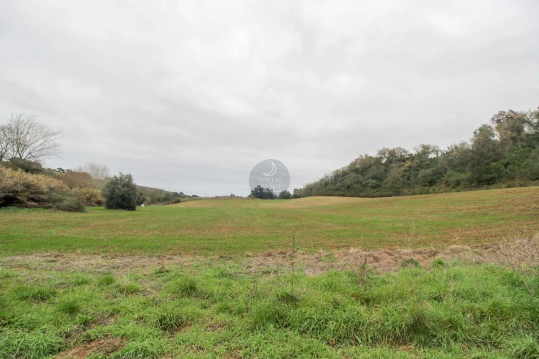 Terreno Agricola ou Rústico para Venda em Achete, Azoia de Baixo e Póvoa de Santarém Foto 5