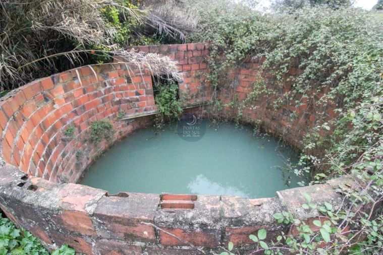 Terreno Agricola ou Rústico para Venda em Achete, Azoia de Baixo e Póvoa de Santarém