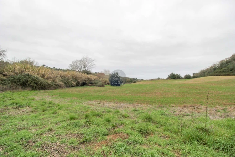 Terreno Agricola ou Rústico para Venda em Achete, Azoia de Baixo e Póvoa de Santarém Foto 7