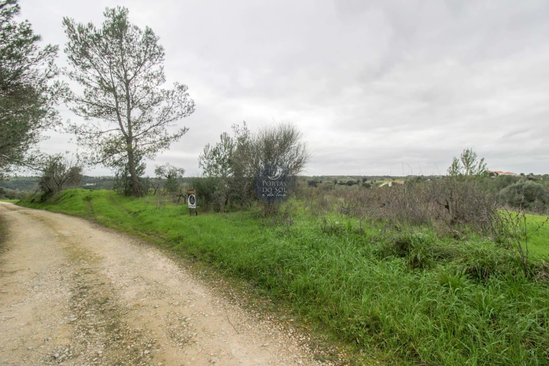 Terreno Agricola ou Rústico para Venda em Achete, Azoia de Baixo e Póvoa de Santarém Foto 2