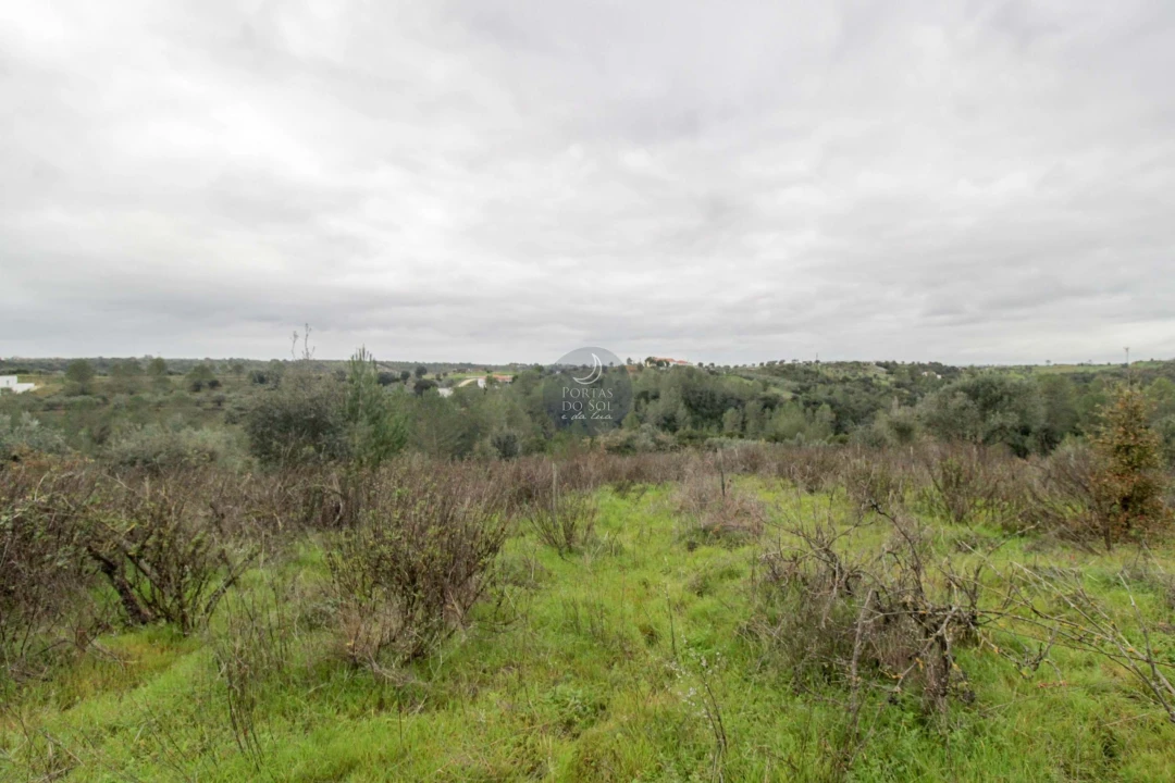 Terreno Agricola ou Rústico para Venda em Achete, Azoia de Baixo e Póvoa de Santarém Foto 4
