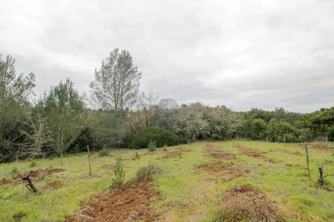Terreno Agricola ou Rústico para Venda em Achete, Azoia de Baixo e Póvoa de Santarém Foto 6