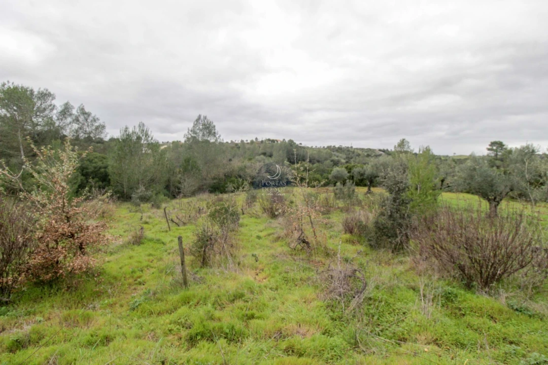 Terreno Agricola ou Rústico para Venda em Achete, Azoia de Baixo e Póvoa de Santarém Foto 5