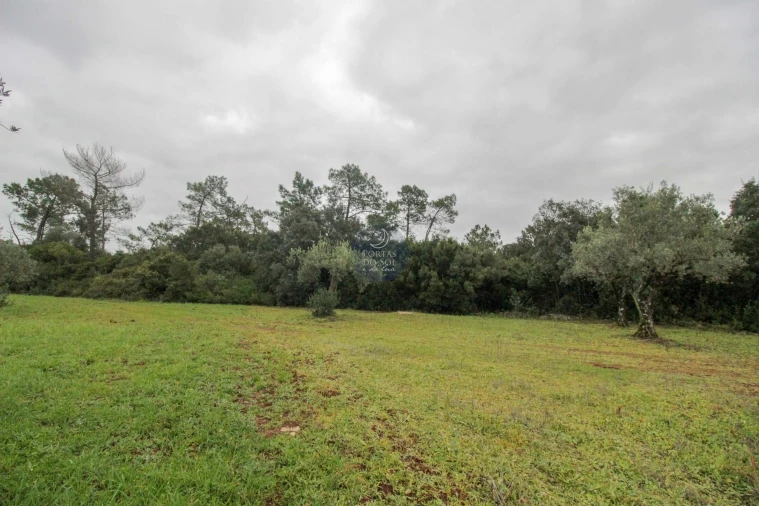 Terreno Agricola ou Rústico para Venda em Azoia de Cima e Tremês Foto 12