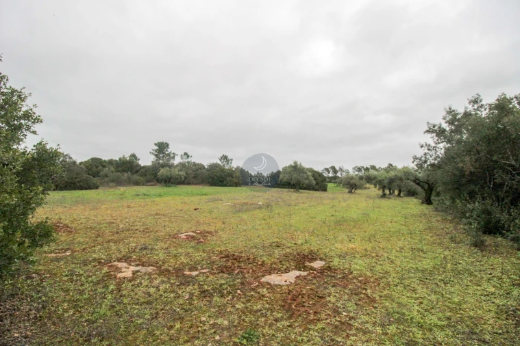 Terreno Agricola ou Rústico para Venda em Azoia de Cima e Tremês Foto 8