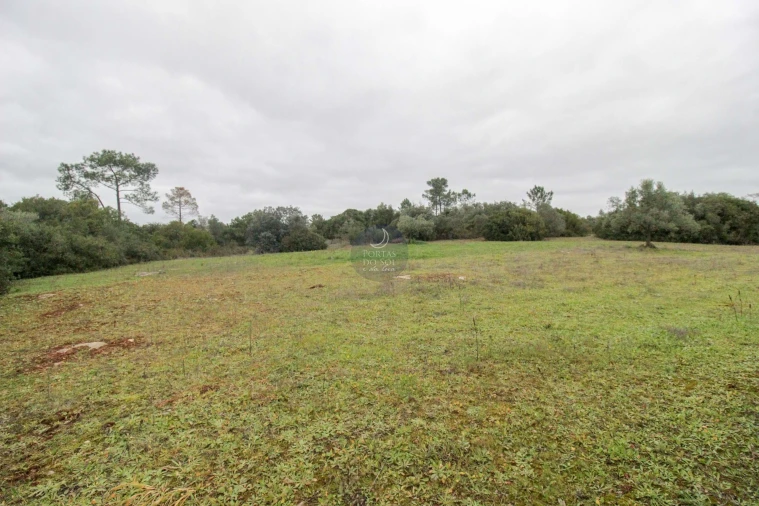 Terreno Agricola ou Rústico para Venda em Azoia de Cima e Tremês Foto 9