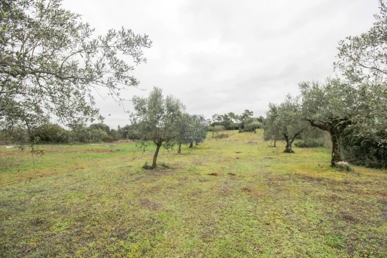 Terreno Agricola ou Rústico para Venda em Azoia de Cima e Tremês Foto 10