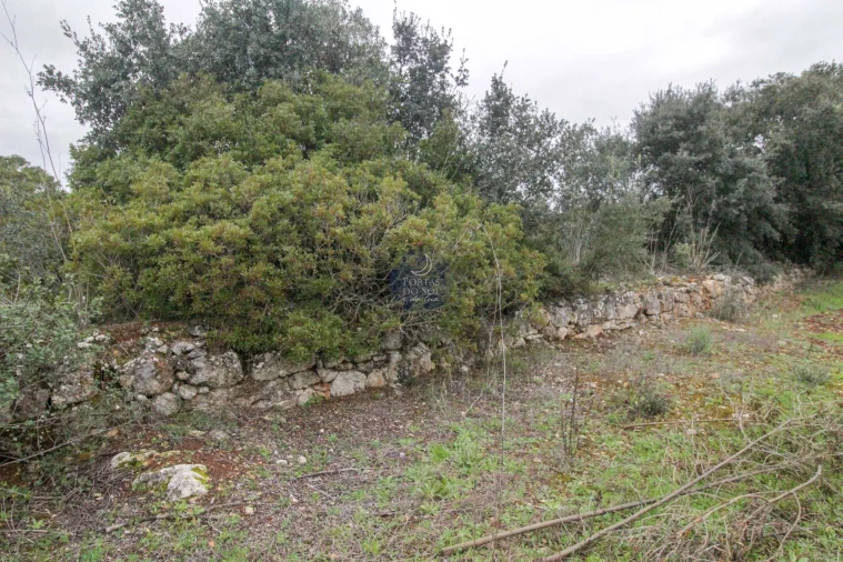 Terreno Agricola ou Rústico para Venda em Azoia de Cima e Tremês Foto 11
