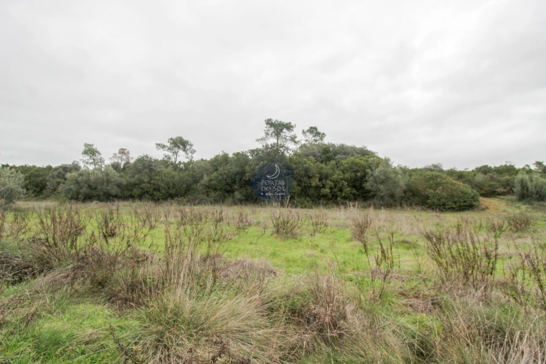 Terreno Agricola ou Rústico para Venda em Azoia de Cima e Tremês Foto 4