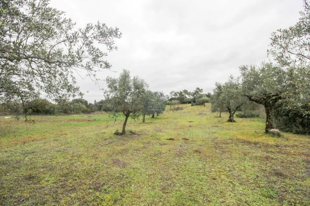 Terreno Agricola ou Rústico para Venda em Azoia de Cima e Tremês Foto 10