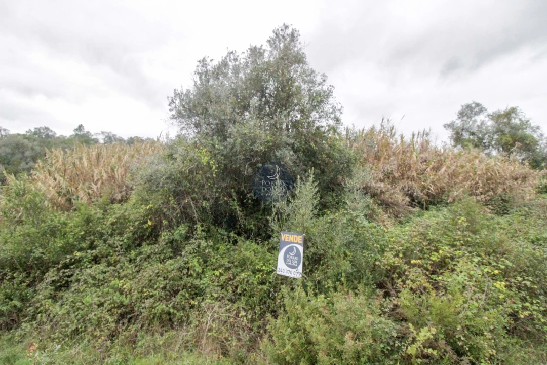 Terreno Agricola ou Rústico para Venda em Achete, Azoia de Baixo e Póvoa de Santarém Foto 1