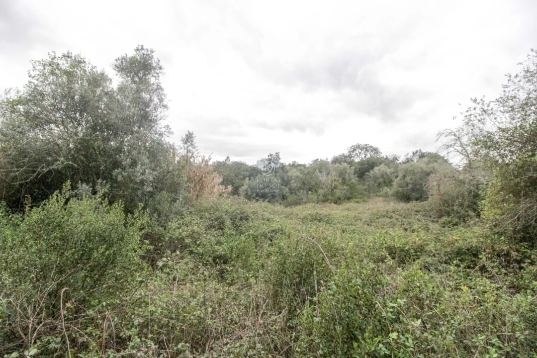 Terreno Agricola ou Rústico para Venda em Achete, Azoia de Baixo e Póvoa de Santarém Foto 3