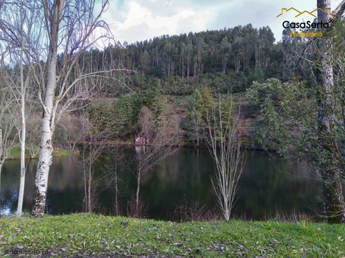 Moradia T4 para Venda em Proença-A-Nova e Peral Foto 3