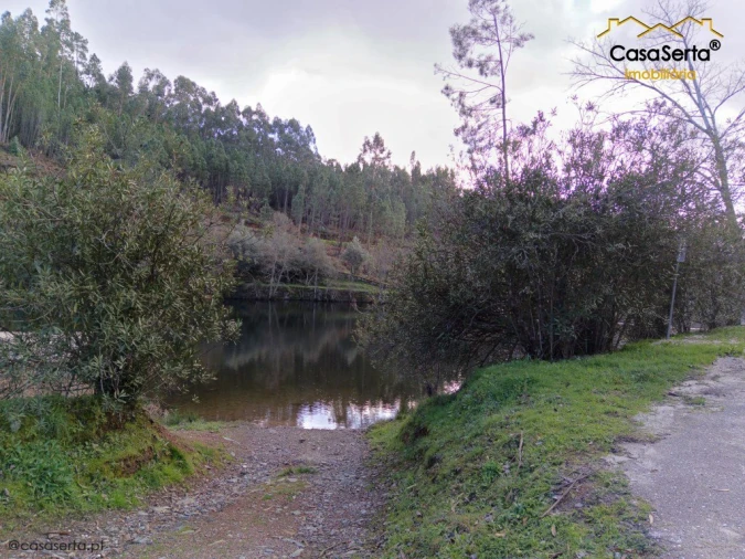 Moradia T4 para Venda em Proença-A-Nova e Peral Foto 4