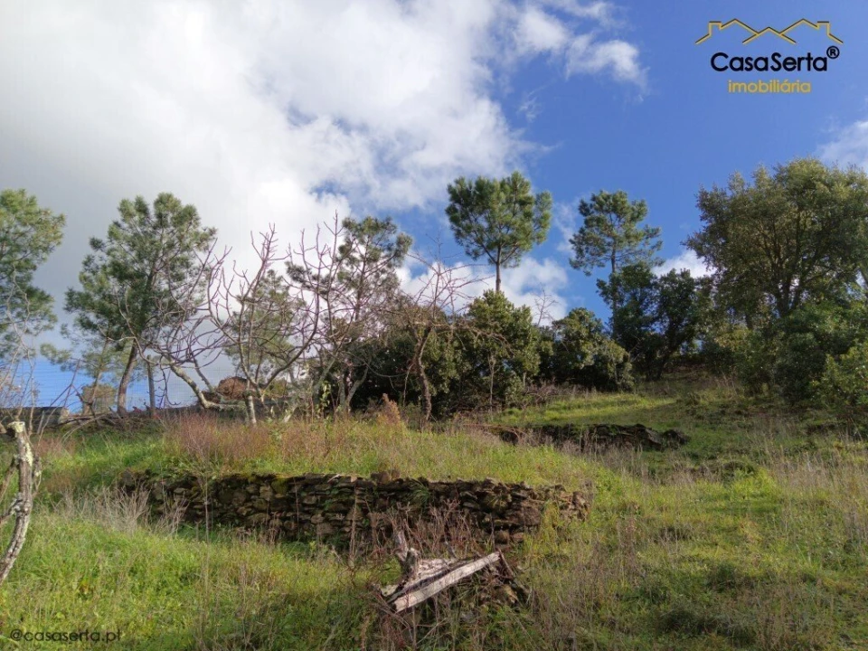 Moradia T4 para Venda em Proença-A-Nova e Peral Foto 9