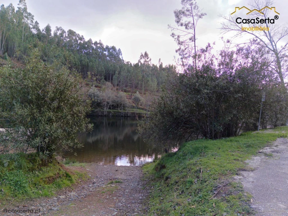 Moradia T4 para Venda em Proença-A-Nova e Peral Foto 4