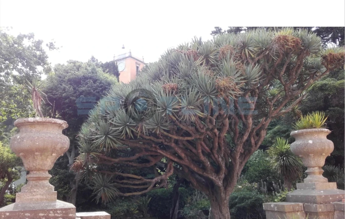 Moradia T7 para Venda em Oeiras e São Julião da Barra, Paço de Arcos e Caxias Foto 17