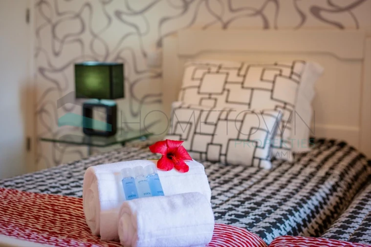 Negócio para Venda em Guia Foto 22