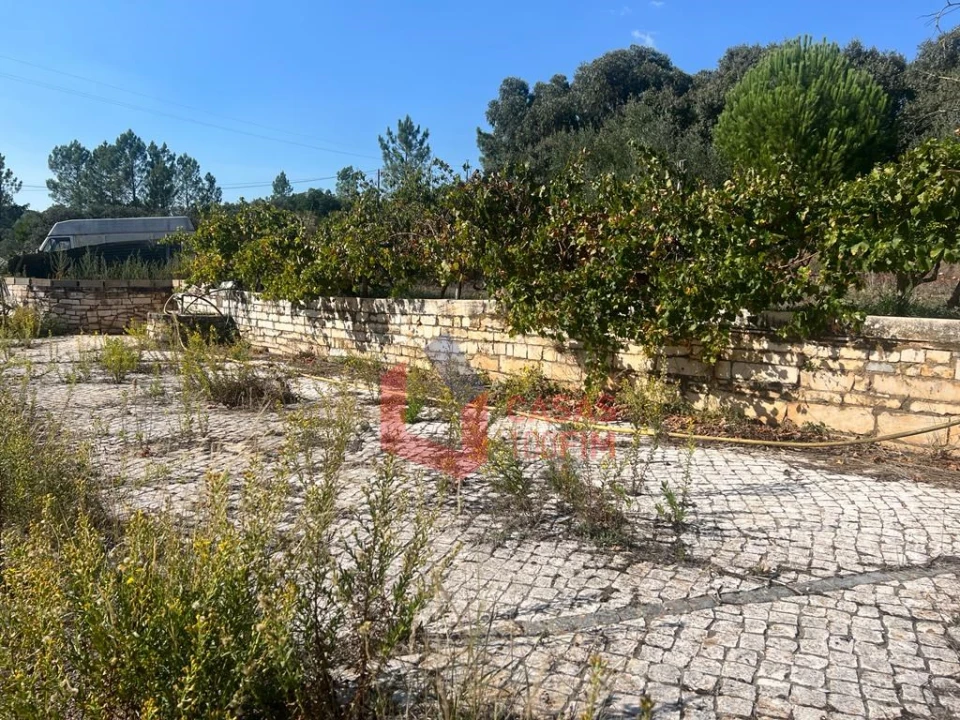 Negócio para Venda em Alcanede Foto 4