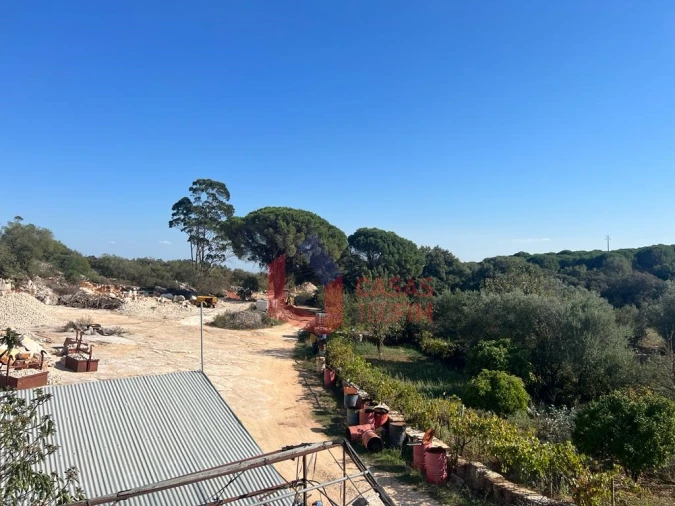 Negócio para Venda em Alcanede Foto 1