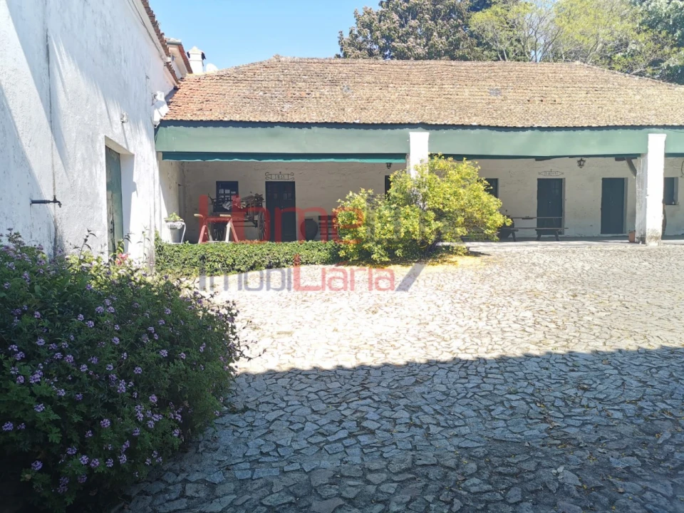 Negócio para Venda em Cumieira Foto 2