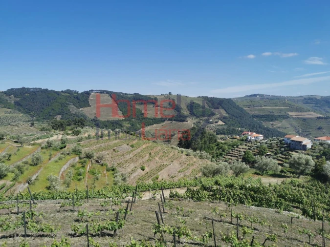 Negócio para Venda em Cumieira Foto 29