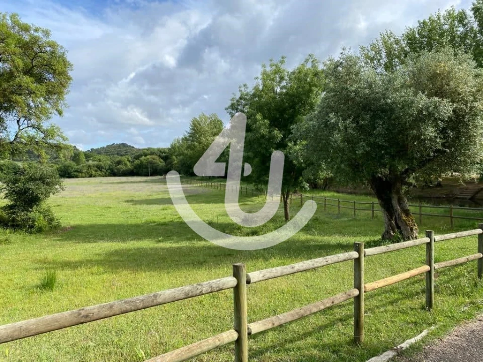 Negócio para Venda em Malhou, Louriceira e Espinheiro Foto 29