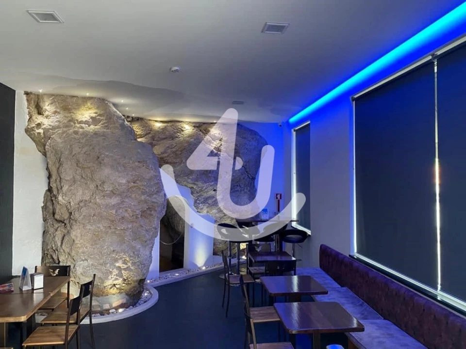 Negócio para Venda em Malhou, Louriceira e Espinheiro Foto 21