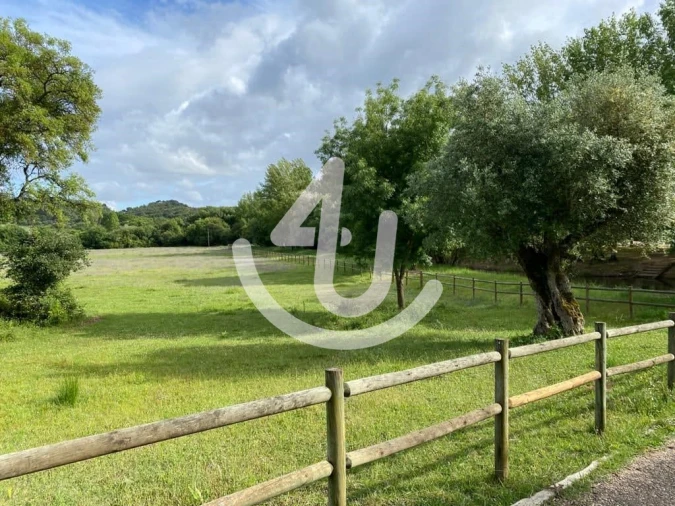 Negócio para Venda em Malhou, Louriceira e Espinheiro Foto 29