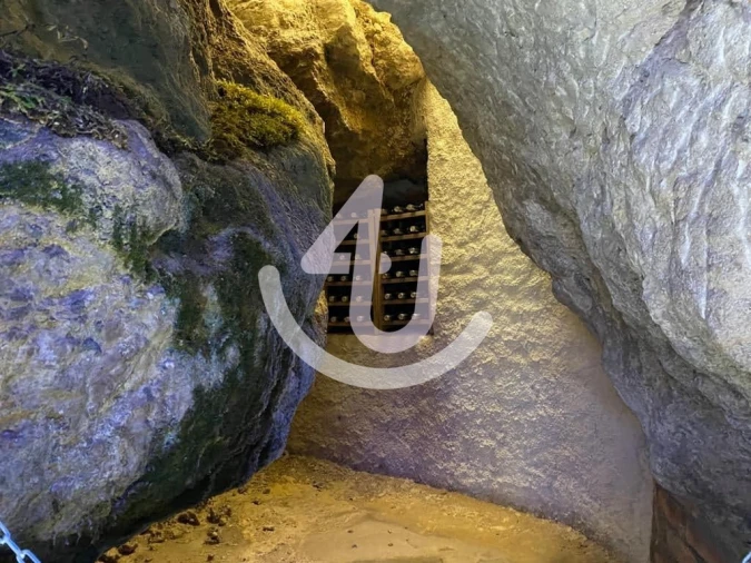 Negócio para Venda em Malhou, Louriceira e Espinheiro Foto 4