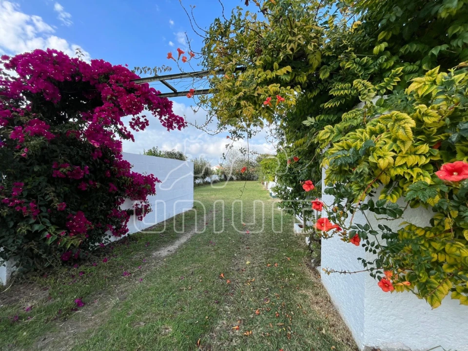 Negócio para Venda em Seixas Foto 7